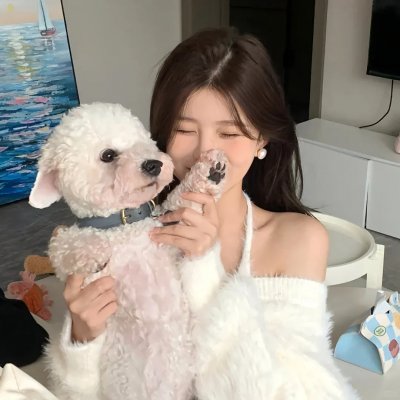 兰茜的理想人生封面
