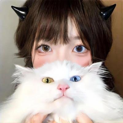 至善至美封面