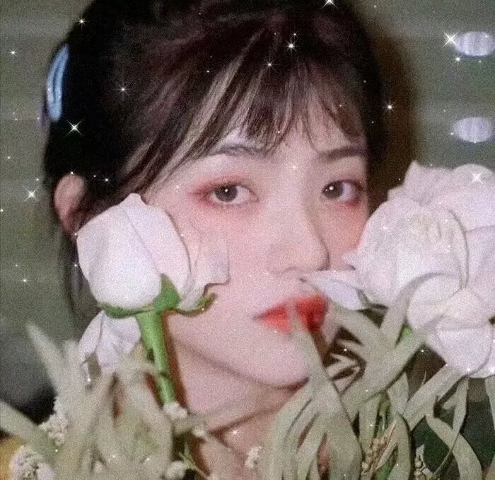 无节操摄影部封面