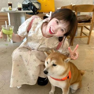 甜心杀手封面